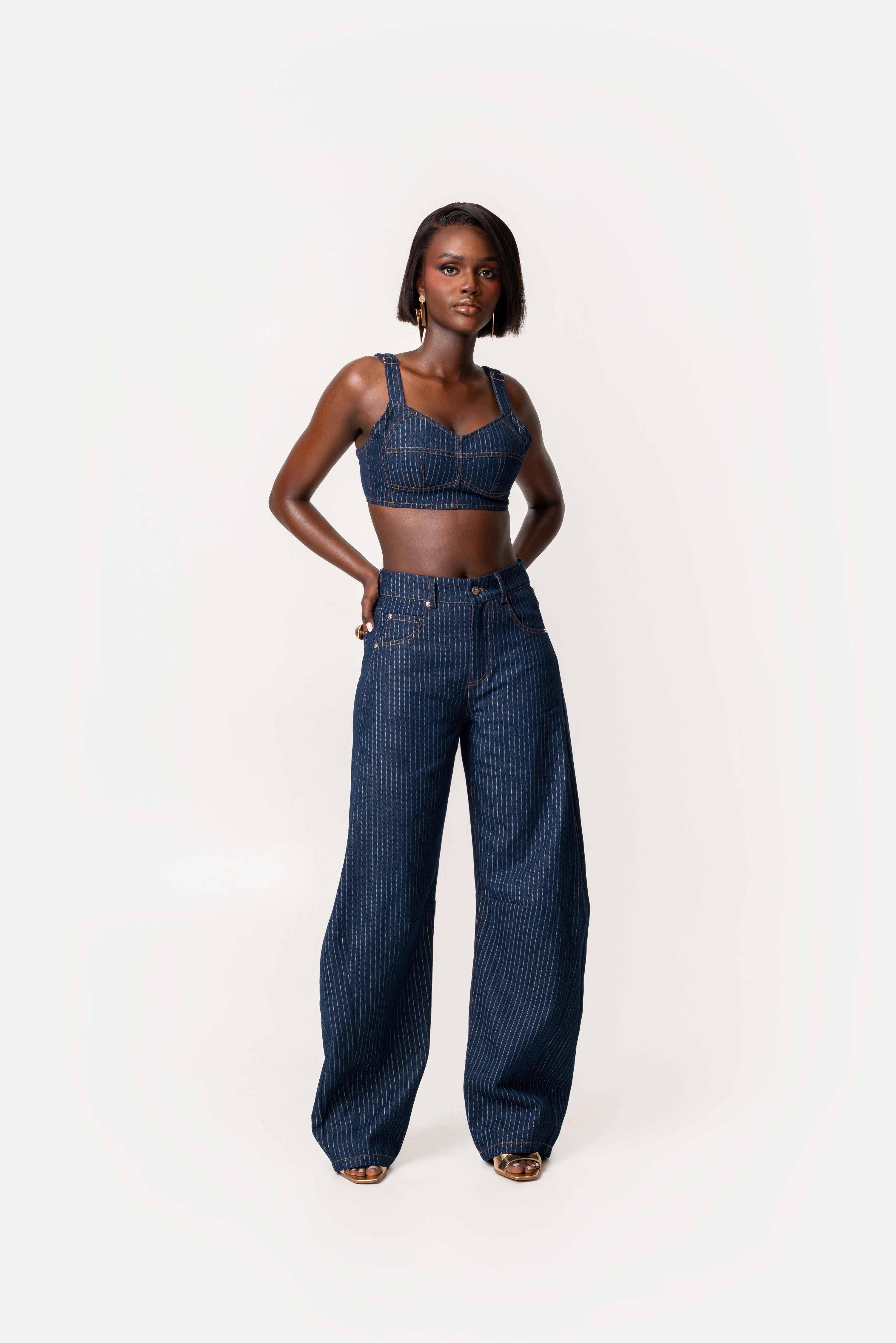 Denim Pinstripe IRA Pants – OFUURE