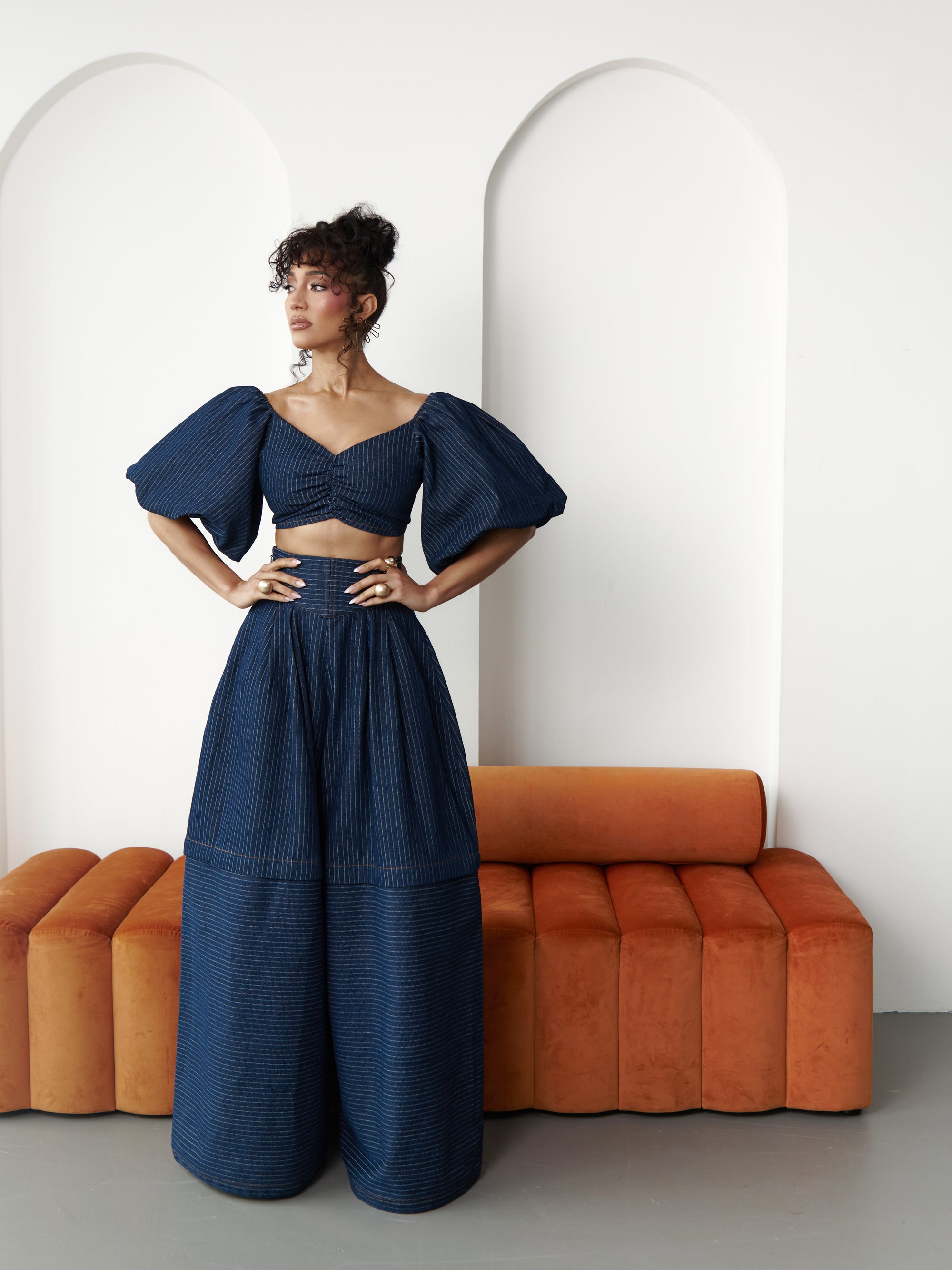 Denim Pinstripe SKYE Puffy Sleeve Crop Top